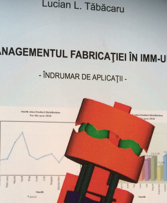 Managementul fabricației în IMM-uri